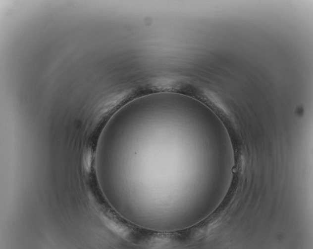 X0000089370076200706221230