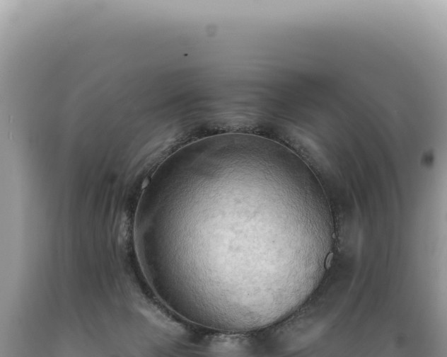 X0000089370077200706221230