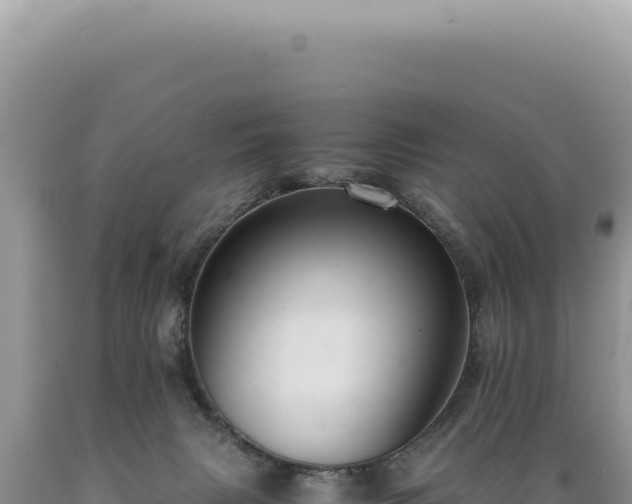 X0000089370079200706221230
