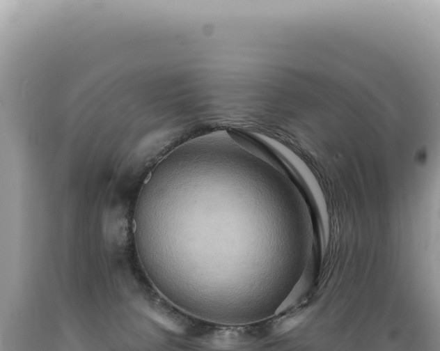 X0000089370080200706221230