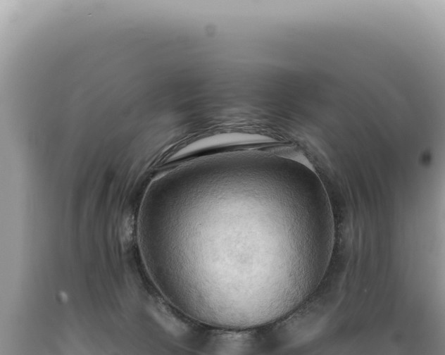 X0000089370081200706221230