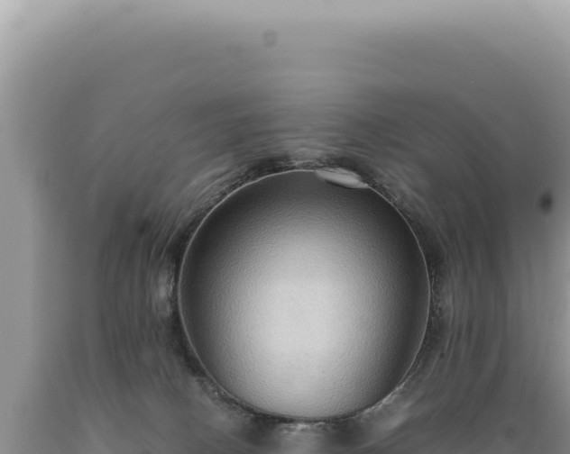 X0000089370082200706221230