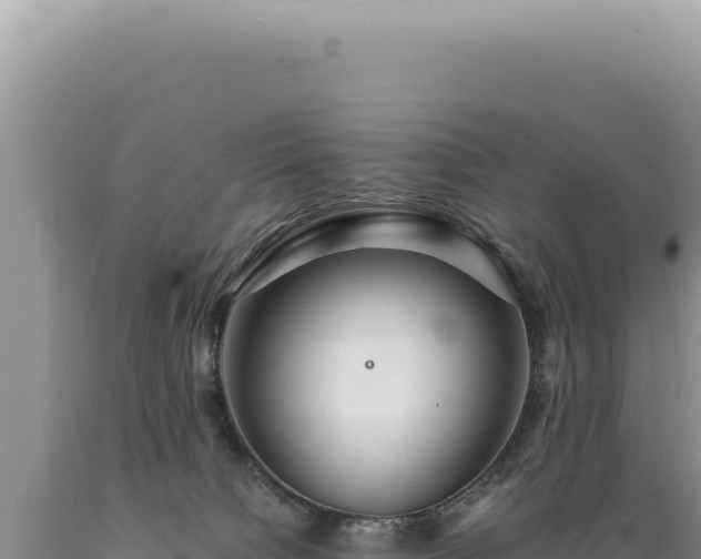 X0000089370084200706221230
