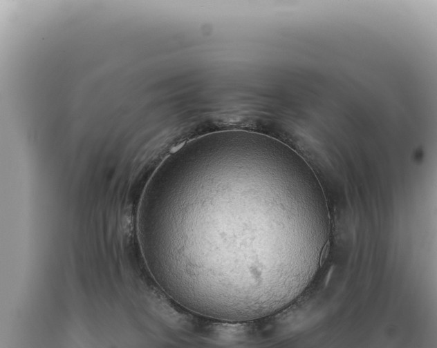 X0000089370085200706221230