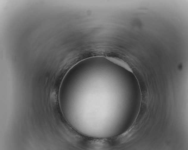 X0000089370086200706221230