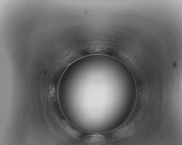 X0000089370087200706221230