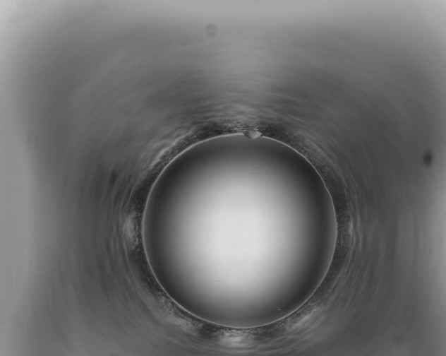 X0000089370088200706221230