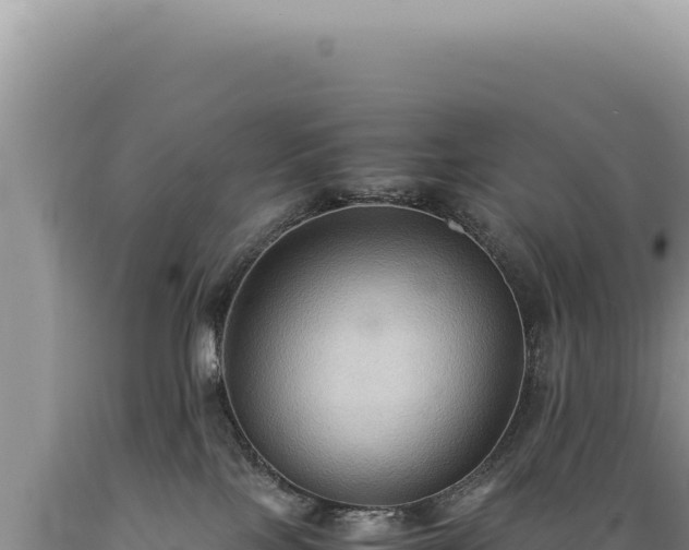 X0000089370089200706221230