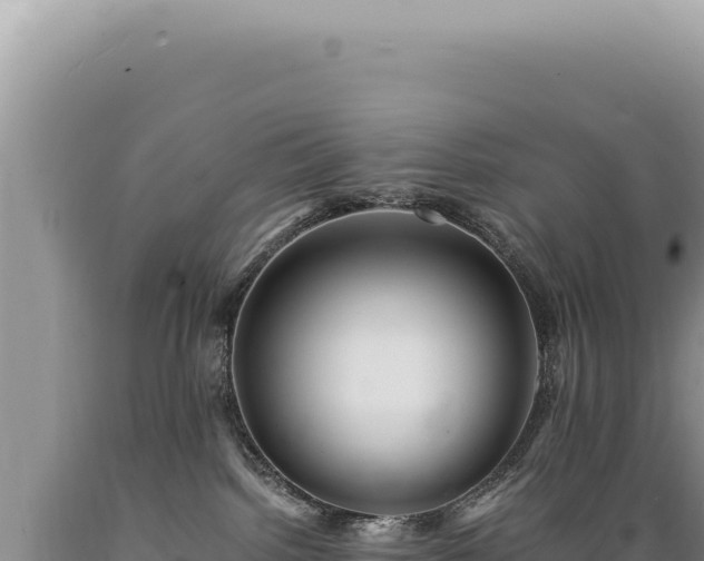X0000089370092200706221230