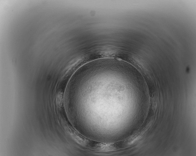 X0000089370093200706221230