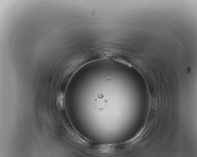 X0000089370094200706221230