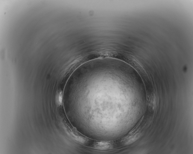 X0000089370095200706221230
