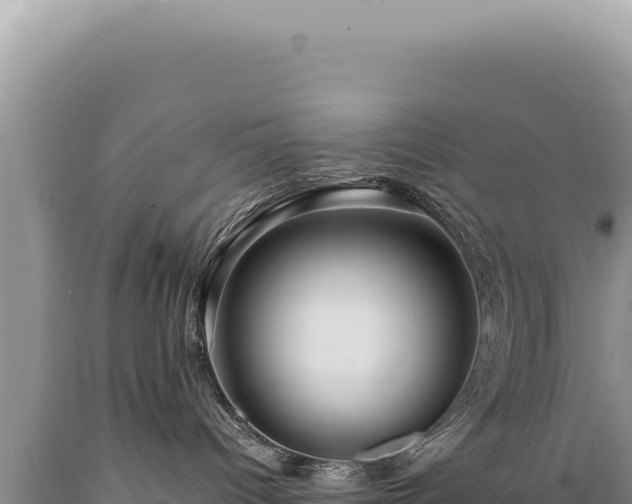 X0000089370096200706221230