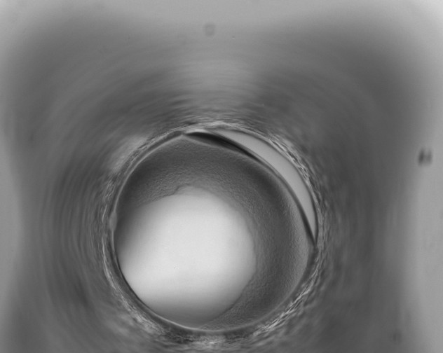 X0000089370097200706221229