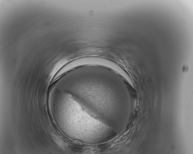X0000089370099200706221229