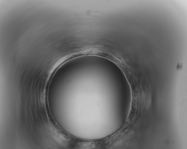 X0000089370100200706221229