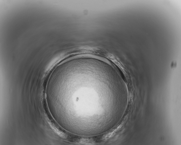 X0000089370101200706221229