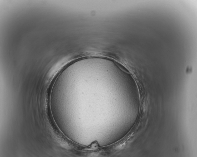 X0000089370103200706221229