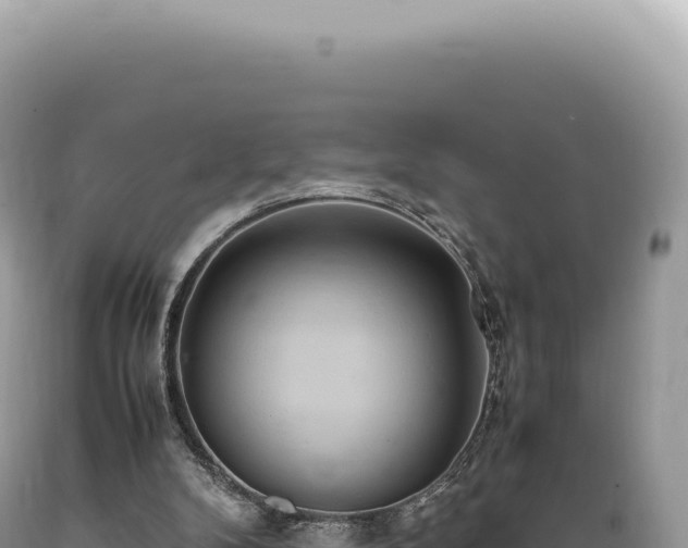 X0000089370104200706221229