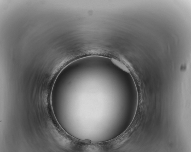 X0000089370106200706221229