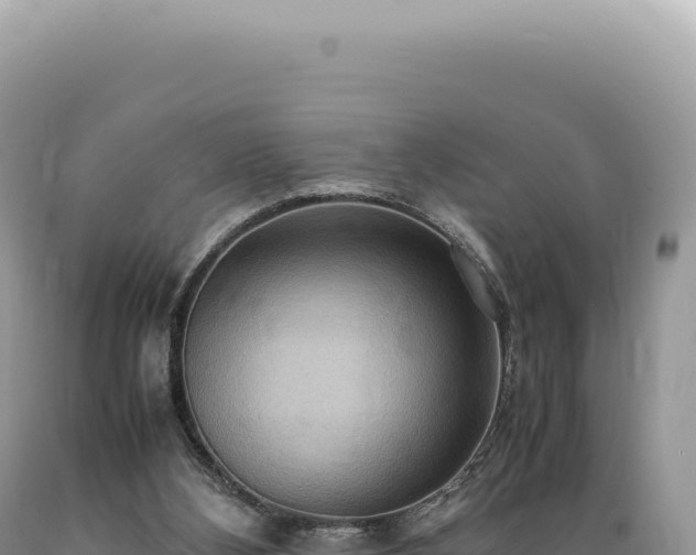 X0000089370108200706221229