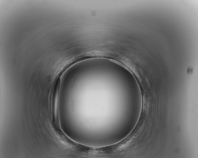 X0000089370109200706221229