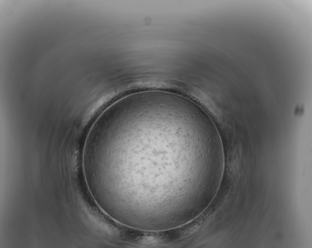 X0000089370111200706221229