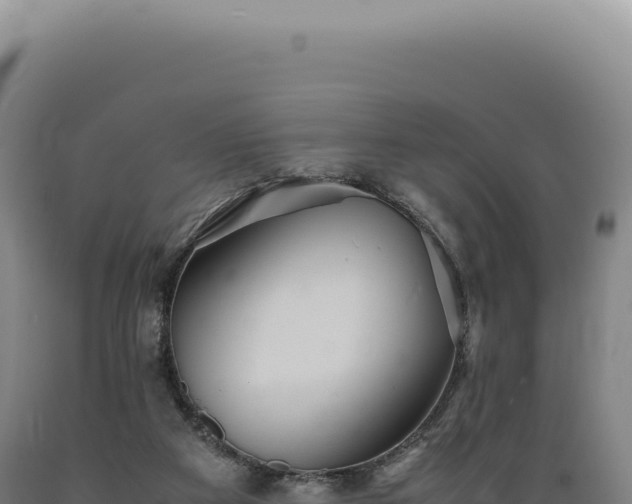 X0000089370113200706221229