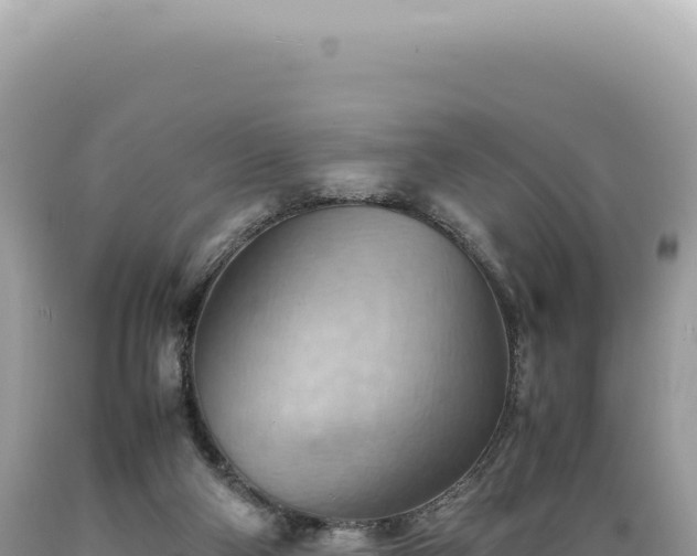 X0000089370114200706221229