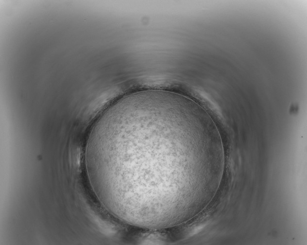 X0000089370115200706221229