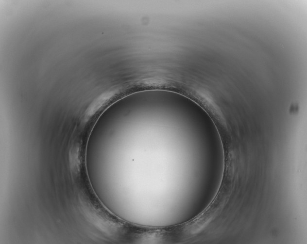 X0000089370116200706221229