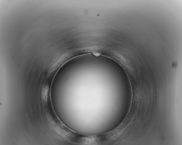 X0000089370118200706221229