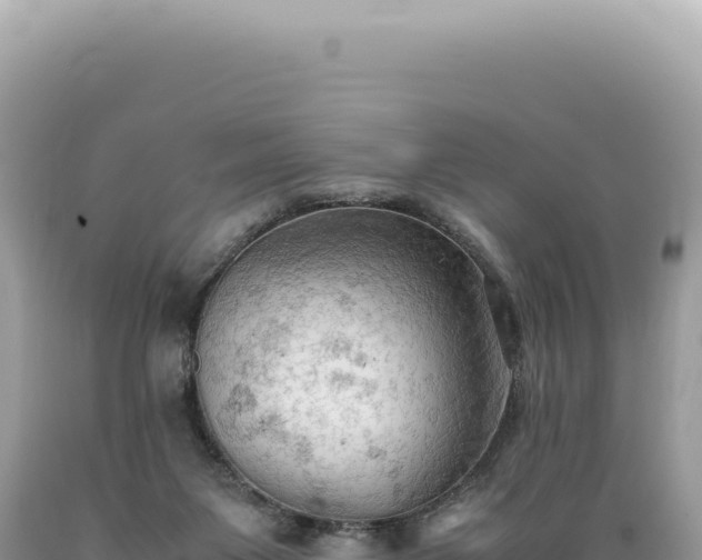 X0000089370119200706221229