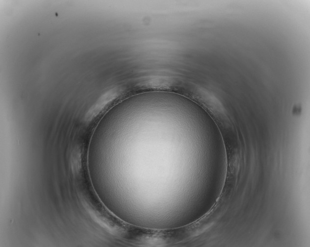 X0000089370120200706221229