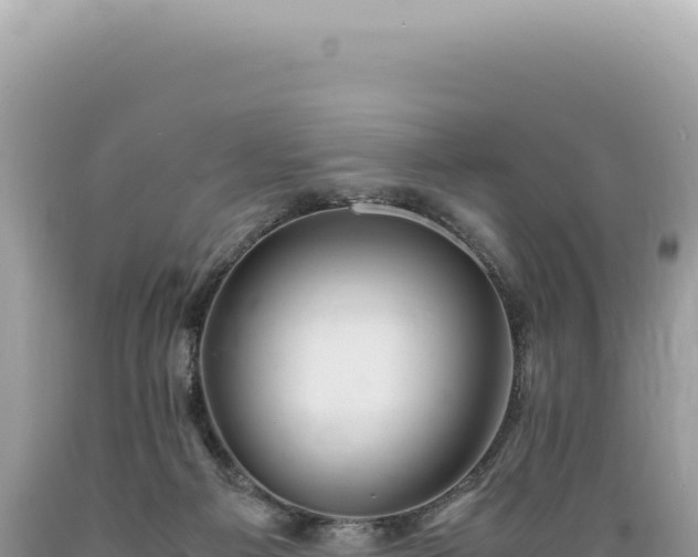 X0000089370121200706221229
