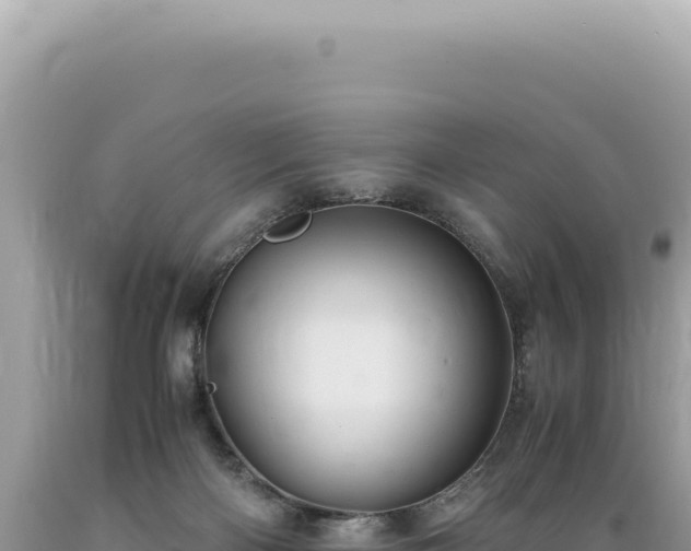 X0000089370122200706221229