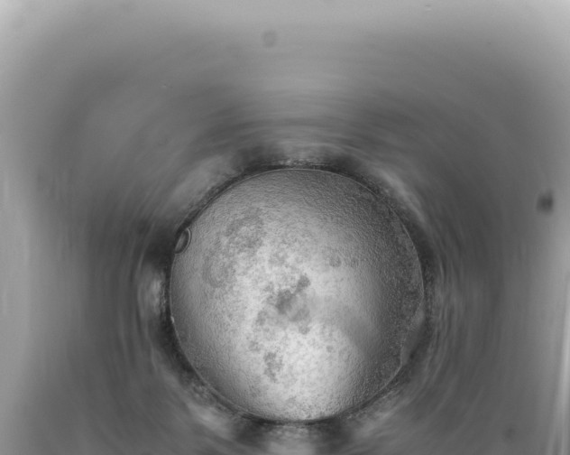 X0000089370123200706221229