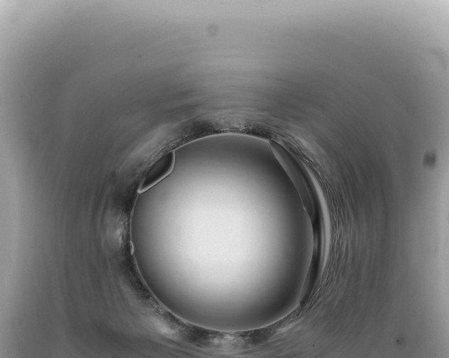 X0000089370125200706221229