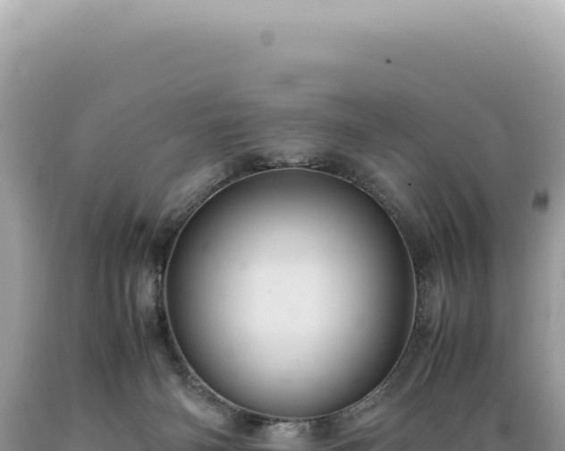 X0000089370126200706221229