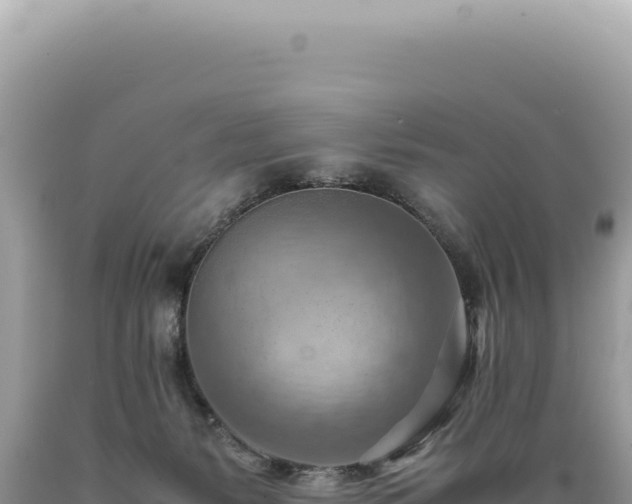 X0000089370127200706221229