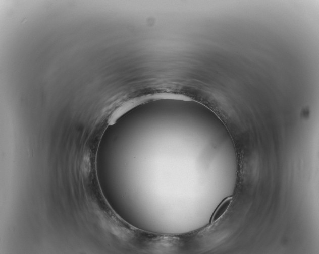 X0000089370128200706221229
