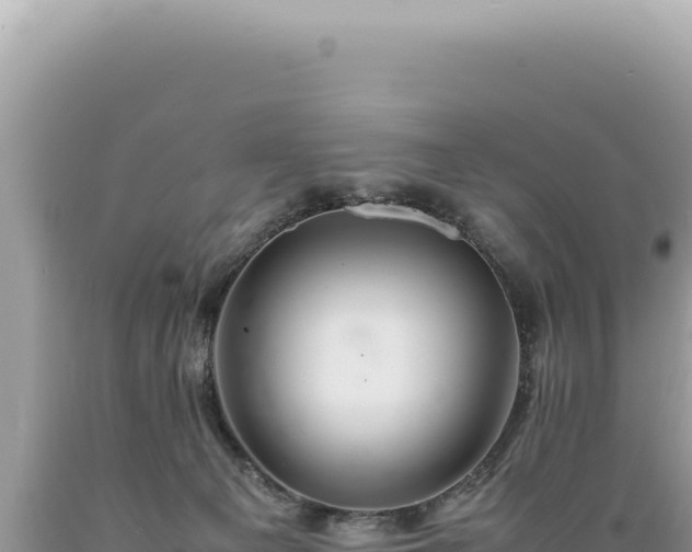 X0000089370129200706221229