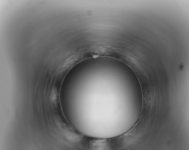 X0000089370132200706221229