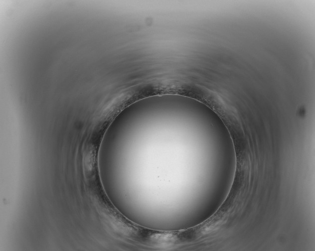 X0000089370133200706221229