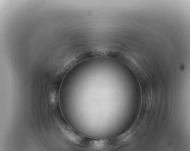 X0000089370134200706221229