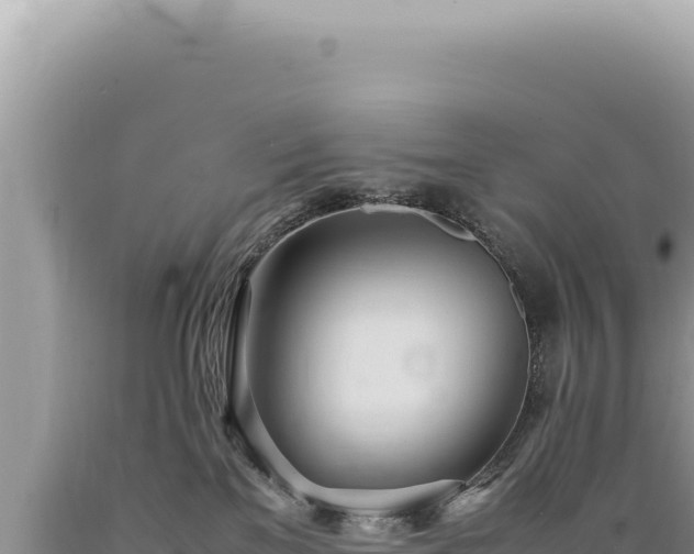 X0000089370137200706221229