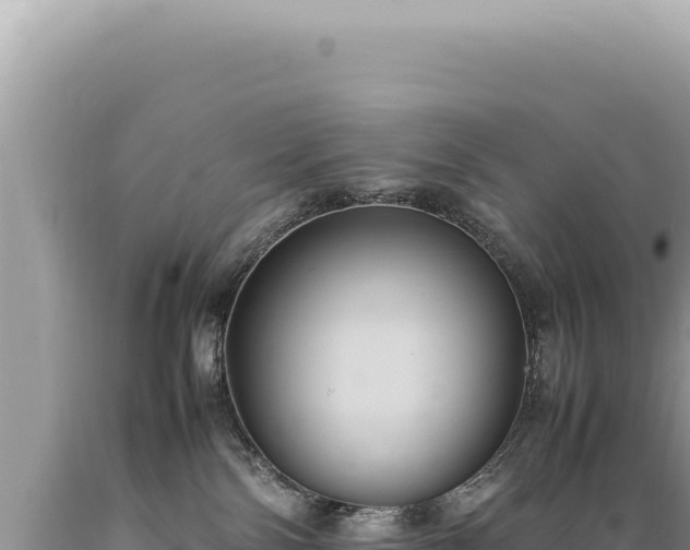 X0000089370138200706221229