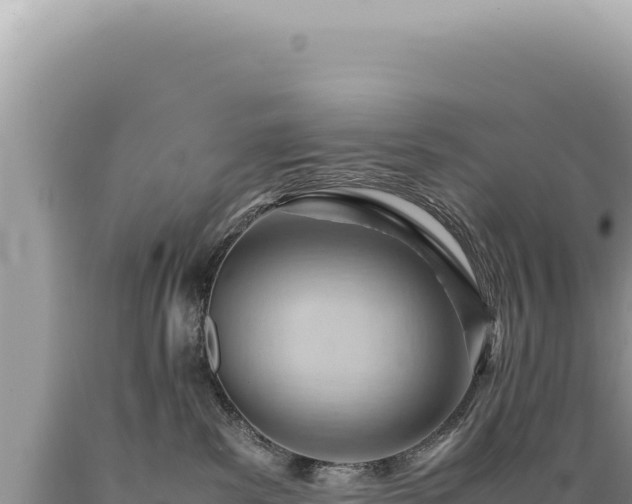 X0000089370139200706221229