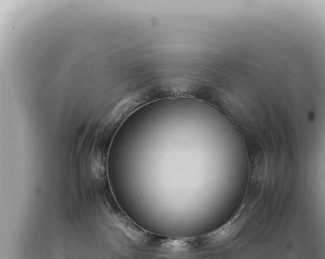 X0000089370140200706221229