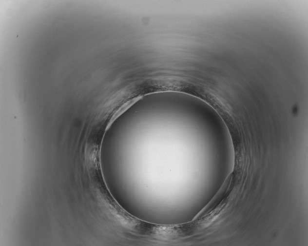 X0000089370141200706221229